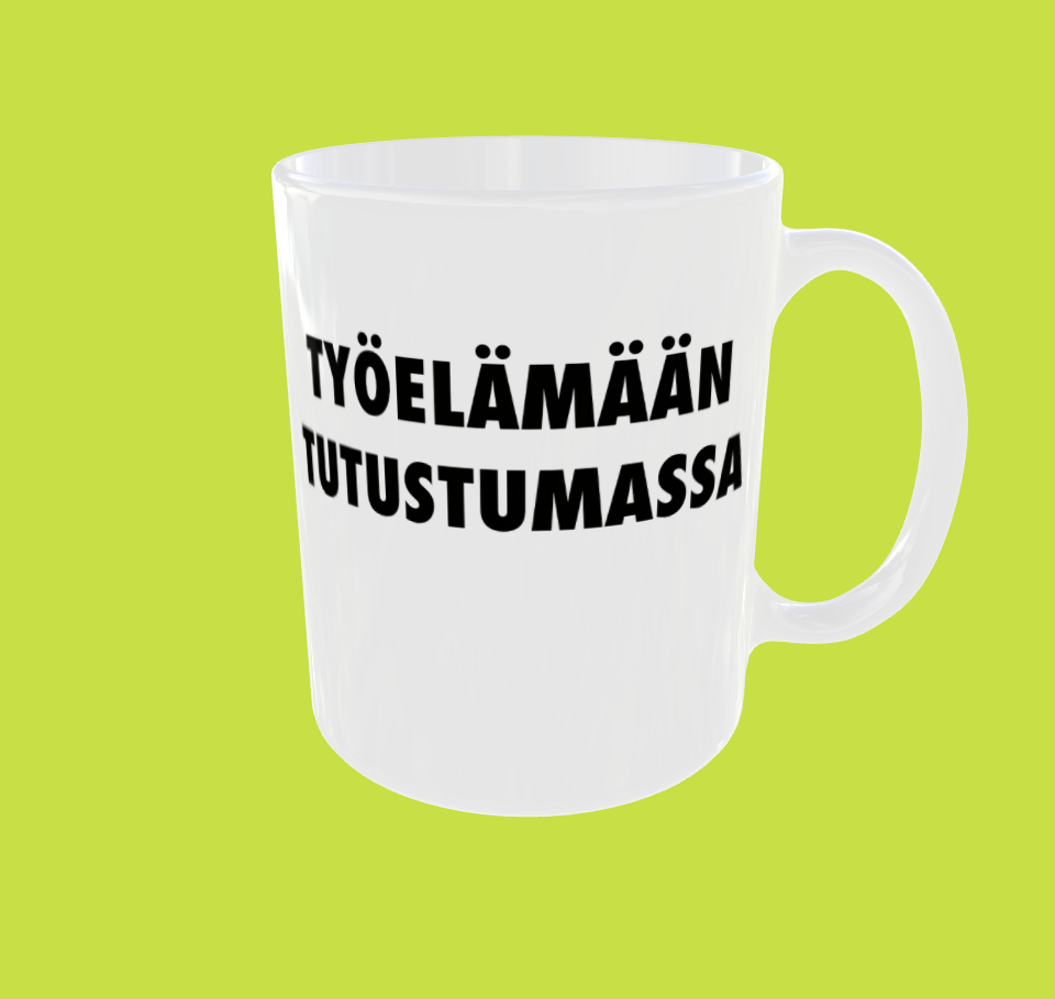 Työelämään tutustumassa